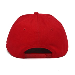 Gorra de Béisbol Hip Hop de 6 Paneles, 100% Algodón, Unisex, con Bordado 3D, Diseño de Contraste de Colores, con Visera Curva - Product Image 4