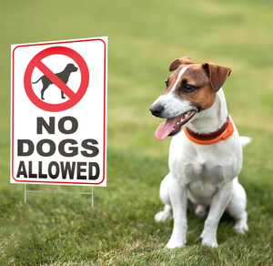 Letreros de Jardín Personalizados para Avisar de Mascotas Perdidas, con Letras Grandes y Negritas, con Estacas en Forma de H para la Búsqueda de Animales Desaparecidos - Product Image 4