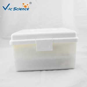 Modelo de Columna Vertebral Miniatura para Enseñanza Médica, Columna Vertebral de Tamaño Real Desarticulada, Modelo Realista de Esqueletos Humanos de Plástico - Product Image 5