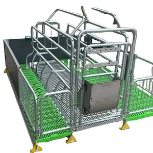 Pig Sow Pen Farrowing Crate With PVC Plank Fence For Pigsty Farm