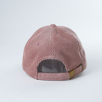 Casquette de baseball non structurée en coton Oxford, personnalisable avec logo brodé, 6 panneaux, motifs à pois et fruits
