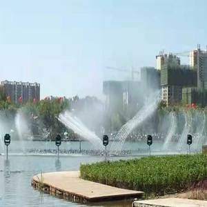 Fontaines d'eau décoratives pour jardins extérieurs, bassins et piscines, avec jets <span class=keywords><strong>de</strong></span> fontaine à eau dansante musicale Seagull Swing - Product Image 5