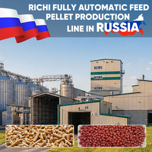 RICHI Voederproductielijn Prijs - Eenvoudige bediening Rusland Sunward Visvoerproductielijn Complete set voederpelletmachines - Product Image 1