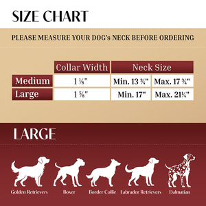 Collar de Perro de Lujo de Cuero de Grano Completo Curtido Vegetalmente con <span class=keywords><strong>Airtag</strong></span> Personalizado - <span class=keywords><strong>Precio</strong></span> Mayorista - Product Image 2