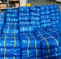 Bâche PE imperméable pour extérieur, jardin, abri de plantes, bâche de protection pour bateau, voiture, camion, couverture agricole
