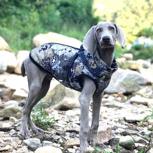 Fabricant de vestes pour animaux de compagnie sur mesure, design hiver, combinaison pour <span class=keywords><strong>teckel</strong></span>, costumes de mode pour animaux, vestes chien stylées, gilet imperméable pour chien - Product Image 4
