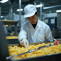 Línea de Producción de Papas Fritas Congeladas Totalmente Automática Industrial de 100 kg/h con Certificación CE para Fábrica de Alimentos