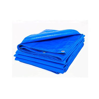Bâche en PVC PE transparente 100% poly bâche avec traitement UV pour la plantation agricole en serre