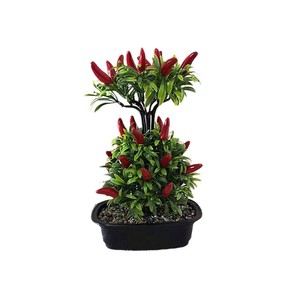 Bonsaï d'arbre fruitier artificiel 28 cm, décoration fruit de la fortune pour le Nouvel An chinois, ornement végétal pour salon - Product Image 5