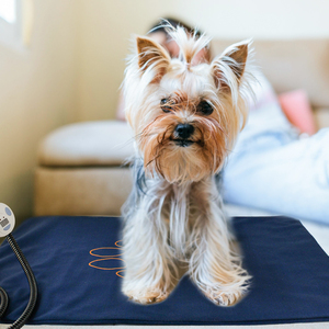 IpetDog Winter Rechteckiges Tragbares Wiederverwendbares Atmungsaktives Wärmendes Haustierbett Leicht zu Reinigen Abnehmbar Waschbar Luxus Hunde- und Katzenbett Khaki Weich - Product Image 2