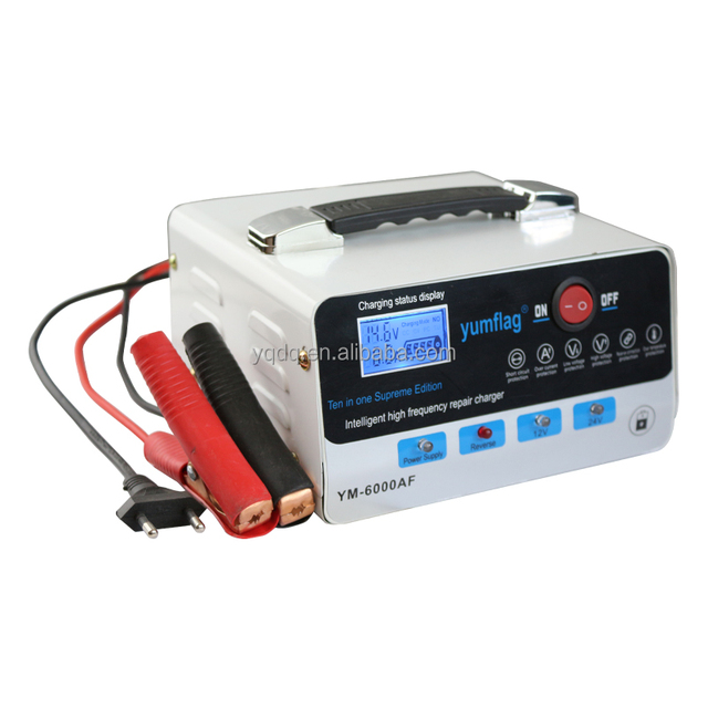 Intelligent Pulse Repair Battery Charger for 12 Volt & 24 Volt Battery for Car & Tricycle Use