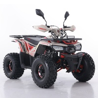 Tao Motor 2024 nouveau ATV 125 pas cher chinois automatique chaîne entraînement ferme ATV 125cc ATV