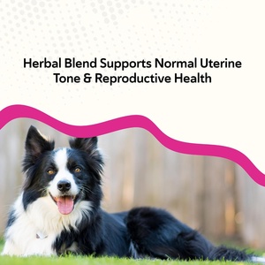 Golosinas Masticables de Vitaminas Prenatales para Perros OEM, Suplemento Completo para Perros y Gatos Embarazados, Enriquecido con Nutrientes Esenciales - Product Image 2