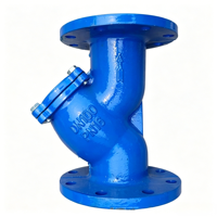 Filtre en Y à bride en fonte ductile DN25-DN125 PN16 PN10 pour conduite d'eau, vanne de filtration industrielle de type Y