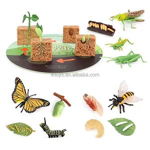 Juguetes Educativos para el ciclo de la vida, animales e insectos, múltiples y diferentes
