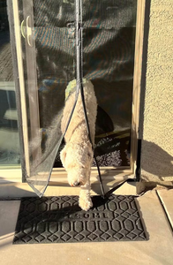 Usine en gros robuste et durable <span class=keywords><strong>anti</strong></span>-moustiques et <span class=keywords><strong>anti</strong></span>-<span class=keywords><strong>insectes</strong></span> simple et facile à installer rideaux <span class=keywords><strong>de</strong></span> <span class=keywords><strong>porte</strong></span> magnétiques domestiques - Product Image 6