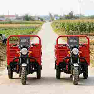 Triciclo <span class=keywords><strong>Motorizado</strong></span> <span class=keywords><strong>de</strong></span> Gasolina <span class=keywords><strong>de</strong></span> 250cc y 3 Ruedas para Uso Agrícola y <span class=keywords><strong>de</strong></span> Carga, Capacidad <span class=keywords><strong>de</strong></span> Carga Pesada <span class=keywords><strong>de</strong></span> 1000 kg - Product Image 2