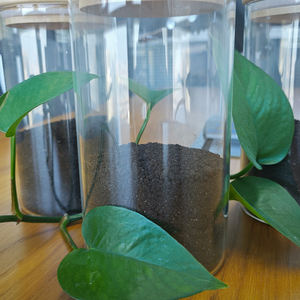 아미노산 과립 및 후민산 과립 양분 유기질 비료 - Product Image 1