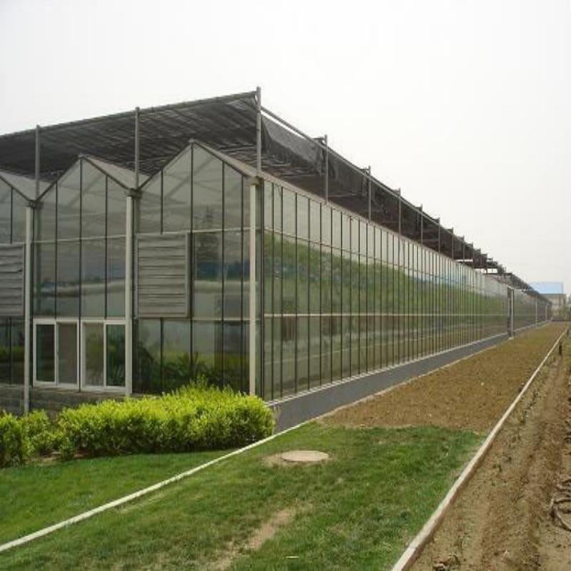 Agricultural Intelligent Holland Greenhouse Glass Agriculture