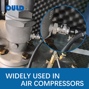 Sensor de Aire PT-306 de Alta Calidad OULD, 4-20 mA, 0-16 bar, Sensores de Gas - Product Image 1