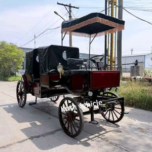 Véhicules électriques de tourisme à double usage efficaces et à faibles coûts d'exploitation pour les opérateurs de voyages - Product Image 1
