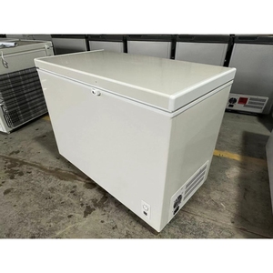 Congélateur coffre solaire 308L à porte unique, alimentation double 12V/220V (AC/DC), pour utilisation hors réseau - Product Image 1