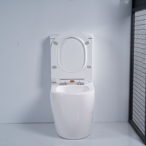 Bát Bể Chứa Nước Phòng Tắm Vách Ngăn Bằng Gốm 2 Mảnh Cho Nhà Vệ Sinh Cỡ Nhỏ - Product Image 4