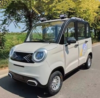 Sedán Compacto de Nueva Energía, Eléctrico, de Cuatro Ruedas, con Autonomía de 201-300 km y Motor de 1-3 kW, para Uso Doméstico por Adultos