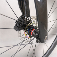 Vélo de route complet montage plat frein à disque cadre en carbone roues haut de roue EDS-2 * 12S changement électronique TT-X80 de peinture de vélo