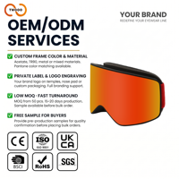 Lunettes de ski TWOOO SNOW02 personnalisées avec logo OEM ODM, monture en TPU, verres en PC, protection UV400, anti-buée, pour hommes et femmes, hiver, ski, snowboard, vente en gros directe