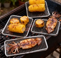Offre Spéciale d'outre-mer résistant à la chaleur antiadhésif jetable barbecue gril maille haute résistance construire de qualité alimentaire sur le toit rassemblement social