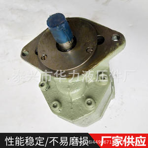 Pompe à huile à engrenages à simple étage en fonte haute pression CB-FC25-FL avec fonction anti-obstruction Montage latéral - Product Image 4