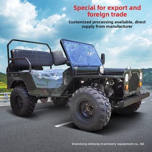 UTV Fuoristrada a Quattro Ruote Willis per Cross-Border, Moto da Fuoristrada, Kart All-Terrain, Motore a Benzina 110cc, Carico 300kg, Modello Beach - Product Image 5