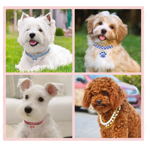 Accesorios de lujo para mascotas Collar de joyería ajustable para mascotas Collar de perro gato perla de diamantes de imitación - Product Image 3