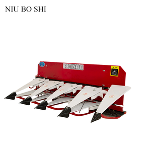 Le mani di raccolta del riso dell'azienda agricola controllano la mietitrice - Product Image 2