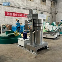Promotie OT-230 40kg/u Hydraulische Oliepers Hydraulische Koude Olie-extractie Avocado Oliepers Machine