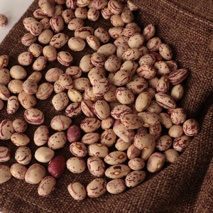 Nihewan, frijoles de riñón moteados ligeros de forma redonda china, frijoles de azúcar, frijoles pintos - Product Image 6