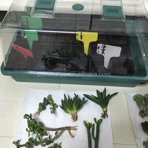 Plateaux de graines artificiel, 5 pièces, <span class=keywords><strong>plateau</strong></span> de démarrage de semis, humidité réglable, Kit de démarrage de plantes avec dôme et Base pour serre - Product Image 4