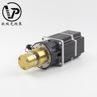 Pompe à engrenages à entraînement magnétique sans balais Orient MG200YY 24V en acier inoxydable 70W 5 bars pour le transfert de liquides chimiques