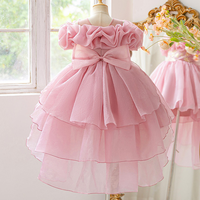 Rok Formal Anak Perempuan Model O-Neck Sepanjang Lutut dengan Desain Renda Jala untuk Pernikahan dan Pertunjukan Festival Anak-anak ODM