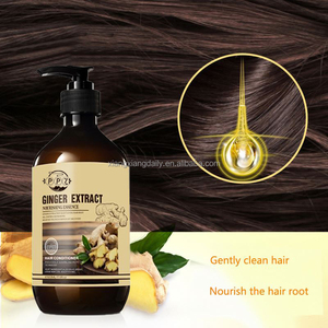 Champú Anticaspa con Extracto de Jengibre - Product Image 3
