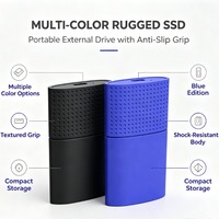 Disque SSD portable grande capacité 2 To 4 To Type-C, disque dur externe anti-chute