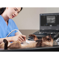 Ecógrafo Veterinario SonoScape ProPet E10 4D Doppler Color, Escáner de Diagnóstico Animal con Panel Táctil, Resistente al Agua y Función IA