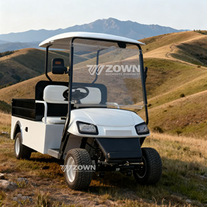 Carro de golf eléctrico de 2 pasajeros con caja de carga larga cerrada para transporte agrícola de frutas y verduras - Product Image 2