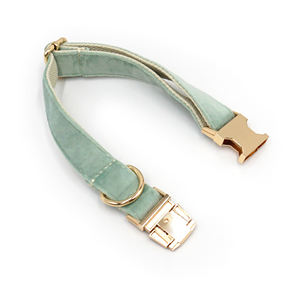 Productos Únicos 2025 para Mascotas Collar de Terciopelo Suave para Perro Color Verde Salvia Correas de Poliéster Cuerda y Dispensador de Bolsas para Excrementos de Perro Dorado a la Moda - Product Image 6