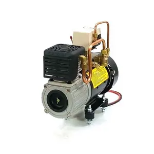 24V High Efficiency Weatherproof Heavy Duty DC Oil Free Professional Air Suspension Onboard Maintenance Mini Air Compressor