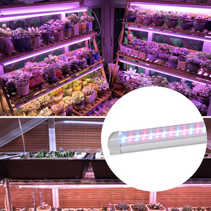 <span class=keywords><strong>Micro</strong></span> màu xanh lá cây Chồi Booster <span class=keywords><strong>LED</strong></span> phát triển đèn T8 ống nhà máy Đèn cho phát triển và nở ứng dụng - Product Image 4