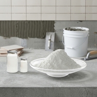 Hydroxypropylméthylcellulose de qualité construction pour mortier, éther de cellulose à haute viscosité pour adhésif carrelage, directement de l'usine