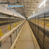 Cage à poulets de type H, robuste, galvanisée à chaud, avec alimentation automatique et système d'évacuation du fumier, équipement haute performance