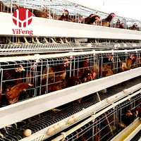 Cage à poulettes de type A, 3, 4 ou 5 niveaux, en fil d'acier Q235 galvanisé, poulailler pour poussins, ferme avicole, ISO 9001, poulailler compact